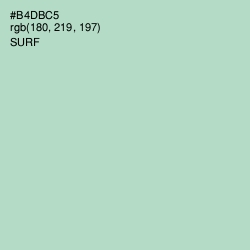 #B4DBC5 - Surf Color Image