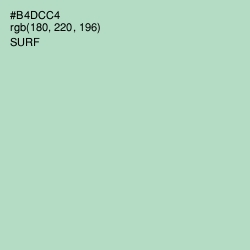 #B4DCC4 - Surf Color Image