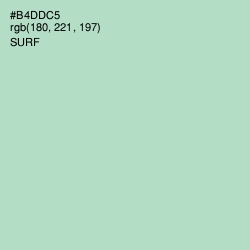 #B4DDC5 - Surf Color Image