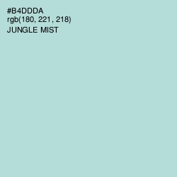 #B4DDDA - Jungle Mist Color Image