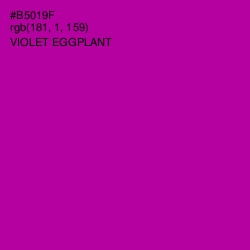 #B5019F - Violet Eggplant Color Image