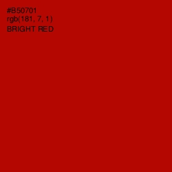 #B50701 - Bright Red Color Image