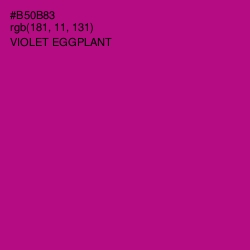 #B50B83 - Violet Eggplant Color Image