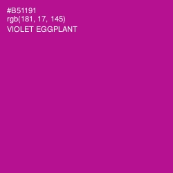 #B51191 - Violet Eggplant Color Image