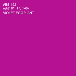 #B51192 - Violet Eggplant Color Image