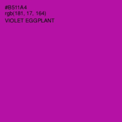 #B511A4 - Violet Eggplant Color Image