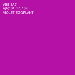 #B511A7 - Violet Eggplant Color Image