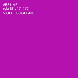 #B511AF - Violet Eggplant Color Image