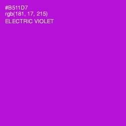 #B511D7 - Electric Violet Color Image