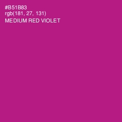 #B51B83 - Medium Red Violet Color Image