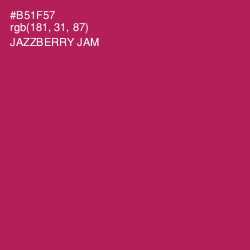 #B51F57 - Jazzberry Jam Color Image