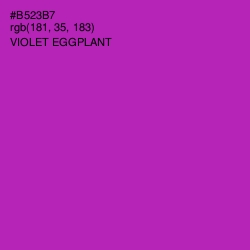 #B523B7 - Violet Eggplant Color Image