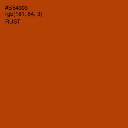 #B54003 - Rust Color Image