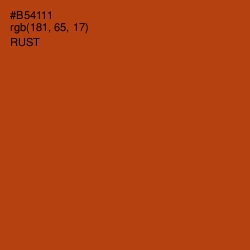 #B54111 - Rust Color Image