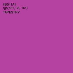 #B541A1 - Tapestry Color Image