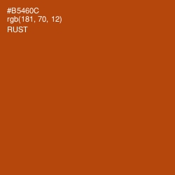 #B5460C - Rust Color Image