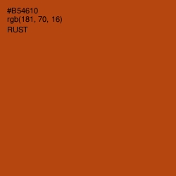 #B54610 - Rust Color Image