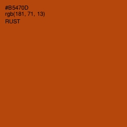 #B5470D - Rust Color Image