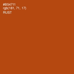 #B54711 - Rust Color Image