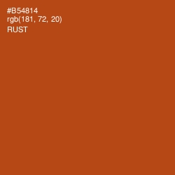 #B54814 - Rust Color Image