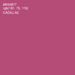 #B54B77 - Cadillac Color Image