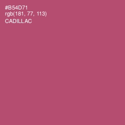 #B54D71 - Cadillac Color Image
