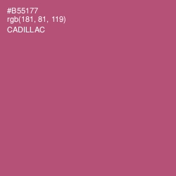 #B55177 - Cadillac Color Image