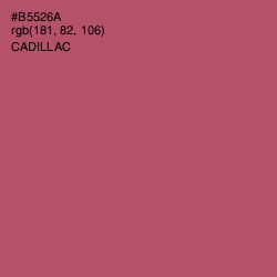 #B5526A - Cadillac Color Image