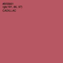 #B55661 - Cadillac Color Image