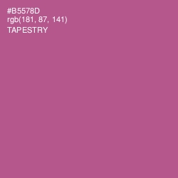 #B5578D - Tapestry Color Image