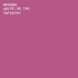 #B55886 - Tapestry Color Image