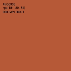 #B55936 - Brown Rust Color Image