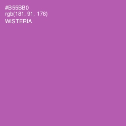 #B55BB0 - Wisteria Color Image