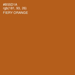 #B55D1A - Fiery Orange Color Image