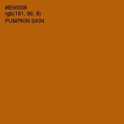 #B56008 - Pumpkin Skin Color Image