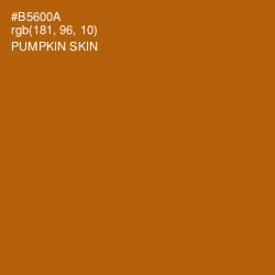 #B5600A - Pumpkin Skin Color Image