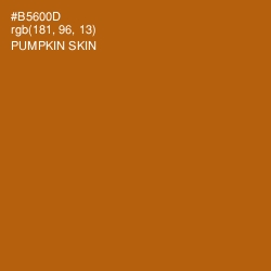 #B5600D - Pumpkin Skin Color Image