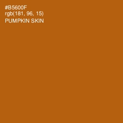 #B5600F - Pumpkin Skin Color Image