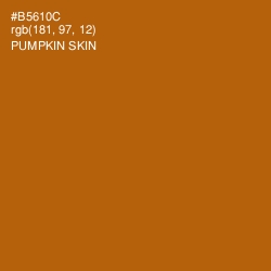 #B5610C - Pumpkin Skin Color Image