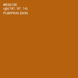 #B5610E - Pumpkin Skin Color Image