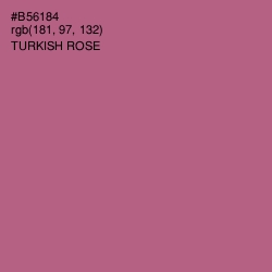 #B56184 - Turkish Rose Color Image