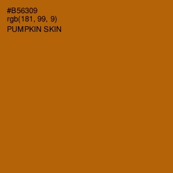 #B56309 - Pumpkin Skin Color Image