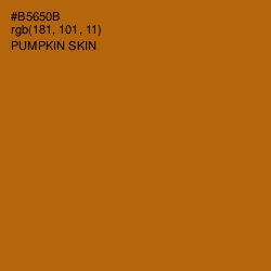 #B5650B - Pumpkin Skin Color Image