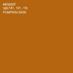 #B5650F - Pumpkin Skin Color Image