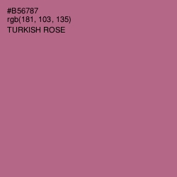 #B56787 - Turkish Rose Color Image