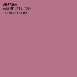 #B5738A - Turkish Rose Color Image