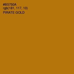 #B5750A - Pirate Gold Color Image