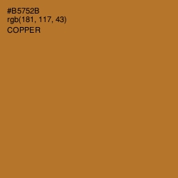 #B5752B - Copper Color Image