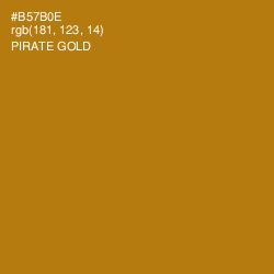 #B57B0E - Pirate Gold Color Image