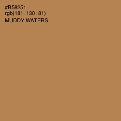 #B58251 - Muddy Waters Color Image